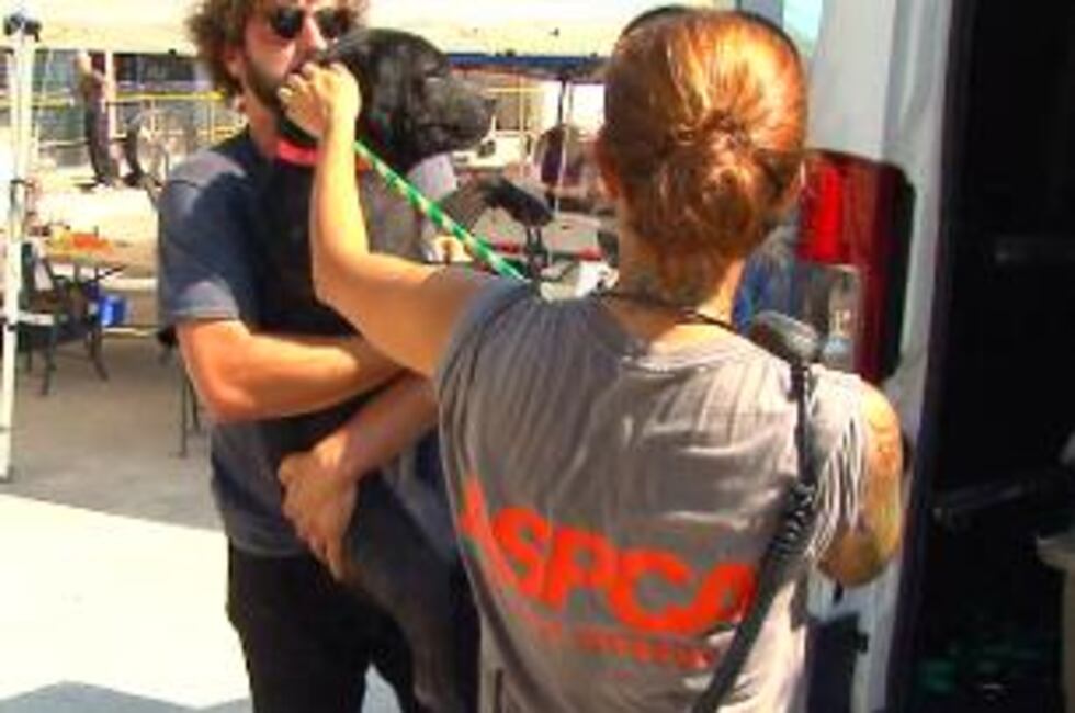 Groups load remaining dogs from the Lawrence Co. shelter. (Source: WAFF)