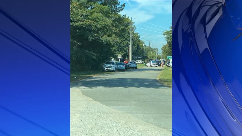 The Tuscumbia Police Department confirmed more than 20 dogs were removed from a residence.