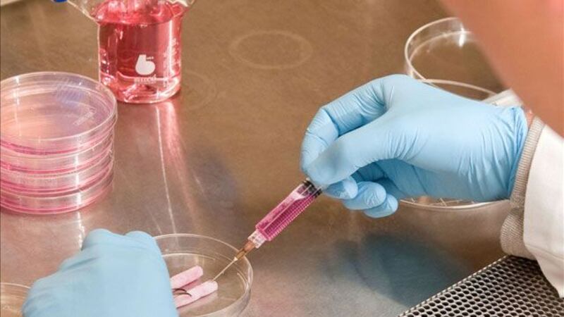 Researchers at Penn State College of Medicine say they have found a virus that can kill human...