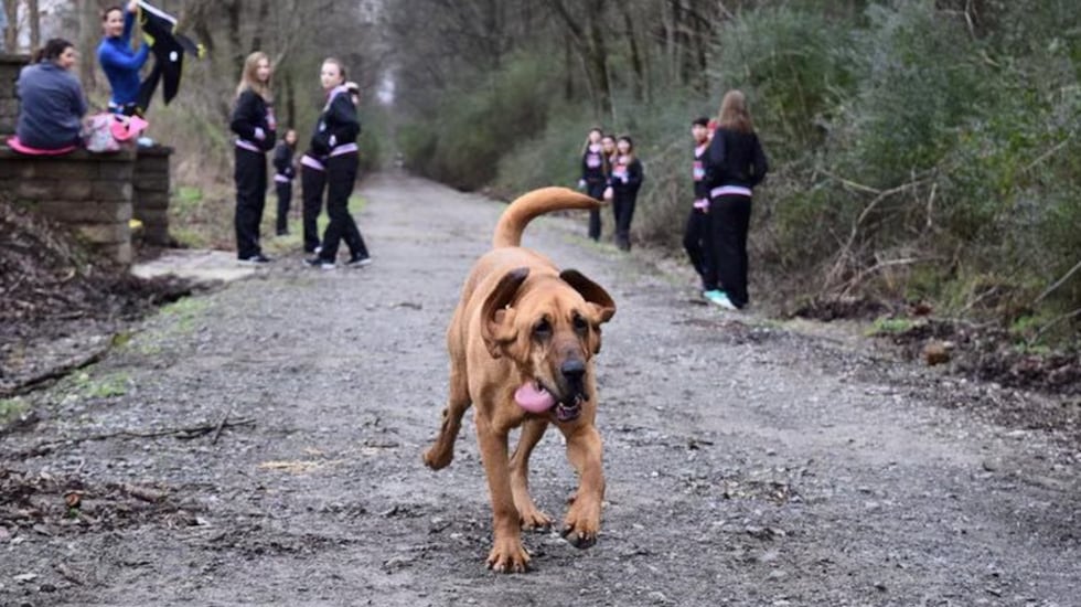 Ludvine was made famous after placing seventh at half-marathon in Elkmont in 2016.