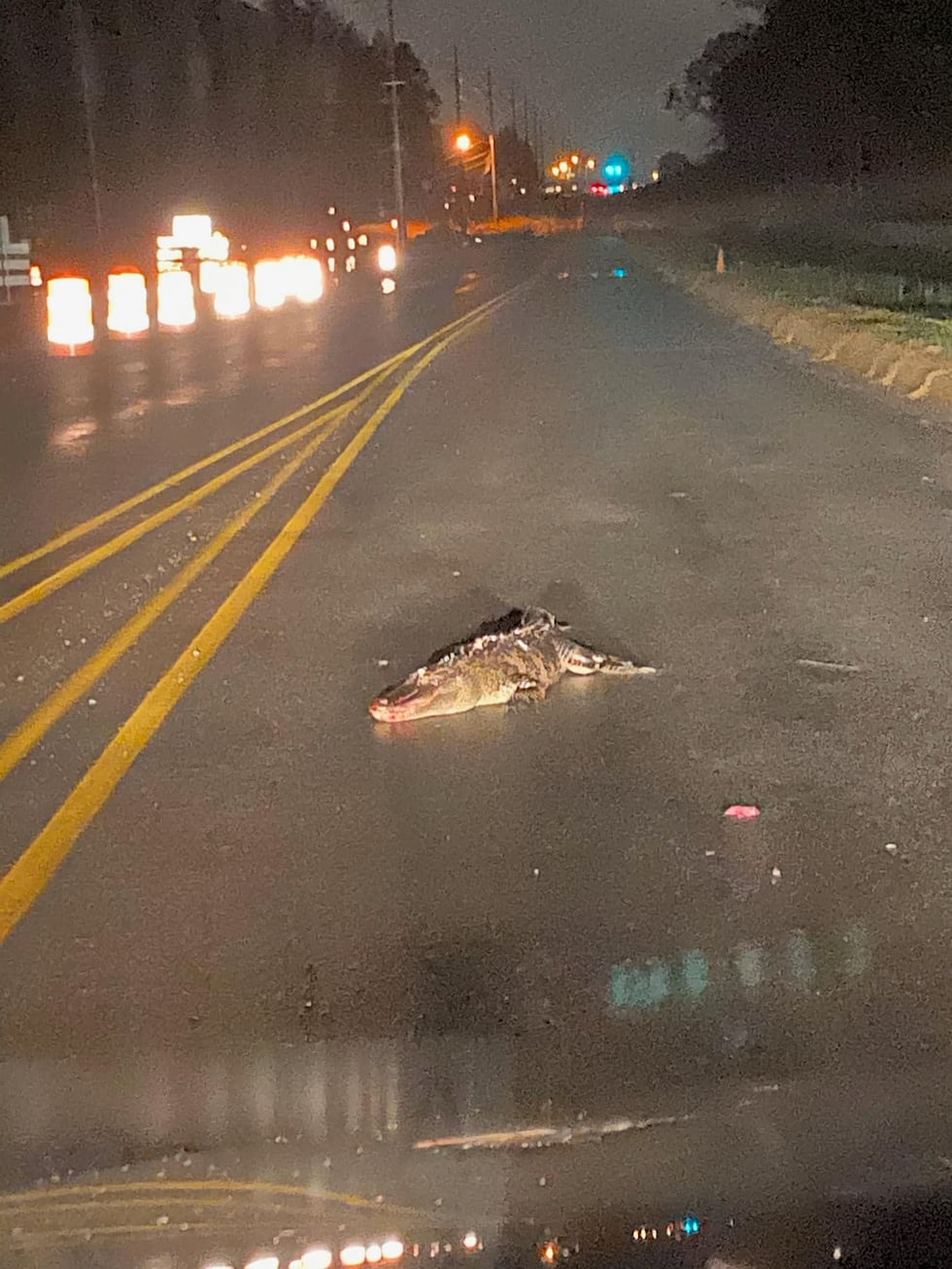 Run over Wednesday night