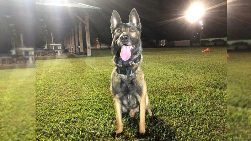 Huntsville K9 unit