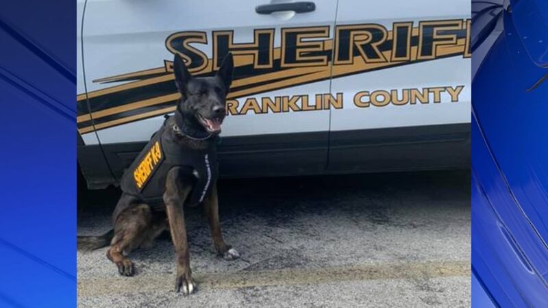 Police officers aren’t the only ones who need protection. K9 Mambo with the Franklin County...