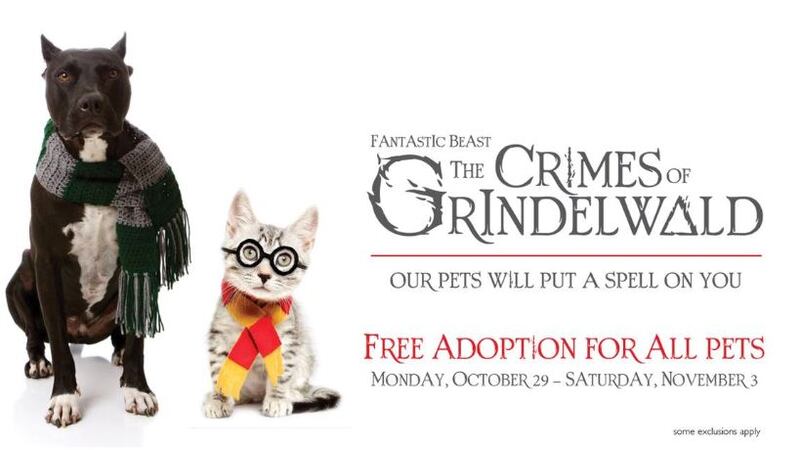 Source: Huntsville Animal Services Facebook page