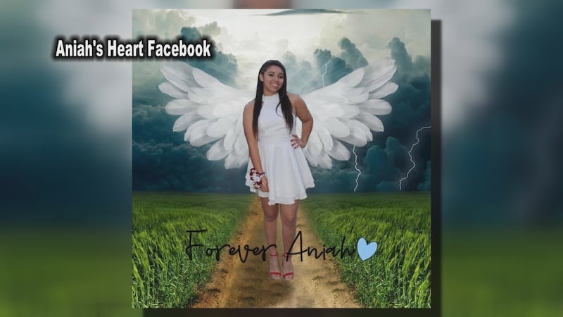 Aniah Blanchard's mother launches non-profit to help families searching for missing loved ones