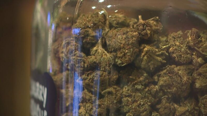 Business applications available for medical marijuana licenses.