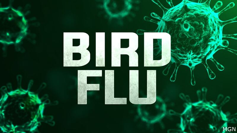 State officials quarantined the premises and the birds on the property were depopulated to...